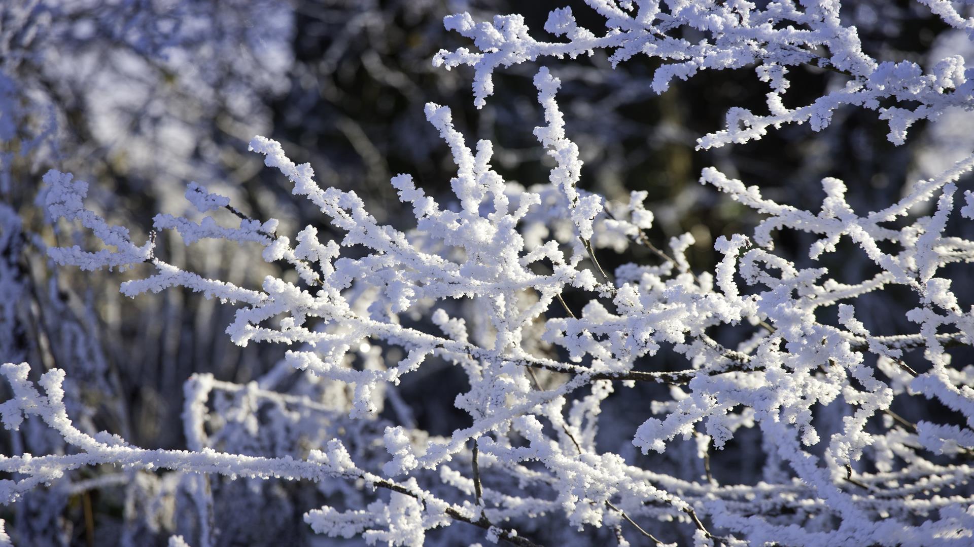 Scotland holiday christmas breaks